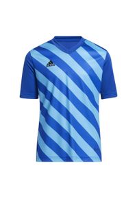 Adidas - Koszulka piłkarska dla dzieci adidas Entrada 22 Graphic Jersey. Kolor: niebieski. Materiał: jersey. Sport: piłka nożna #1