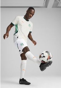 Puma - Męskie szorty Wybrzeże Kości Słoniowej 2025 PUMA White Dark Myrtle Green. Kolor: biały, wielokolorowy, zielony