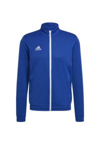 Adidas - Bluza piłkarska męska adidas Entrada 22 Track Jacket. Kolor: biały, wielokolorowy, niebieski. Sport: piłka nożna