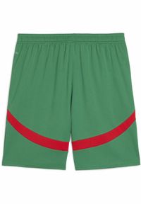 Puma - Szorty Maroc CAN 2025. Kolor: czerwony, wielokolorowy, zielony