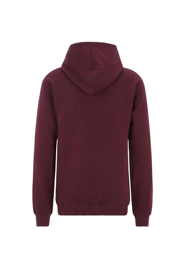 Bluza sportowa męska Fila Brunssum. Typ kołnierza: kaptur. Kolor: wielokolorowy, biały, czerwony, brązowy