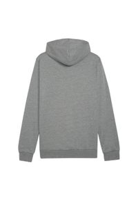 Puma - Męska Bluza Z Kapturem Team Goal Casual. Typ kołnierza: kaptur. Kolor: szary
