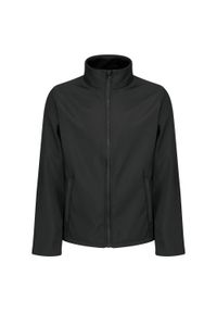 Regatta - Męski Softshell Ablaze. Kolor: czarny. Materiał: softshell. Sport: turystyka piesza #1