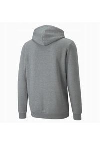 Bluza Męska Puma ESS Hoody FL Big. Typ kołnierza: kaptur. Kolor: szary