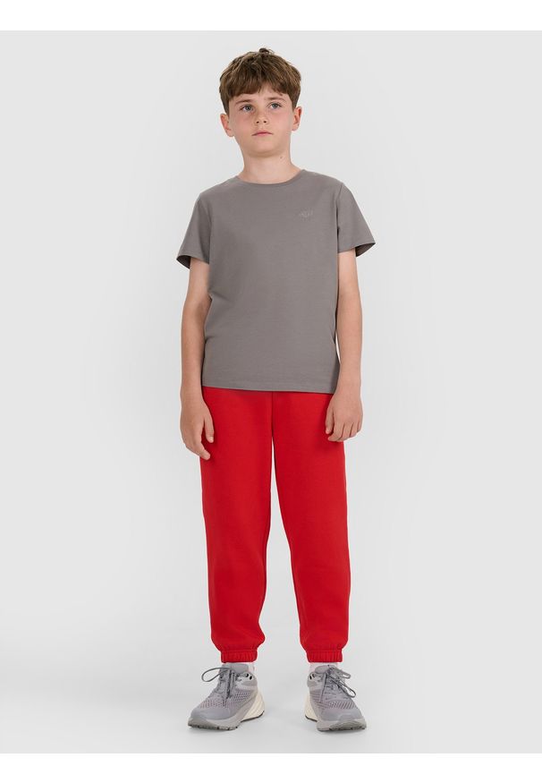 4f - 4F T-shirt oversize gładki chłopięcy - szary 158 (12-13 lat). Okazja: na co dzień. Kolor: szary. Materiał: jersey, bawełna, dzianina. Długość rękawa: krótki rękaw. Długość: krótkie. Wzór: gładki. Sezon: lato. Styl: sportowy, klasyczny, casual