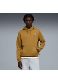 Bluza z kapturem Puma Essentials 2 Small No. 1 Logo. Typ kołnierza: kaptur. Kolor: brązowy. Sport: bieganie