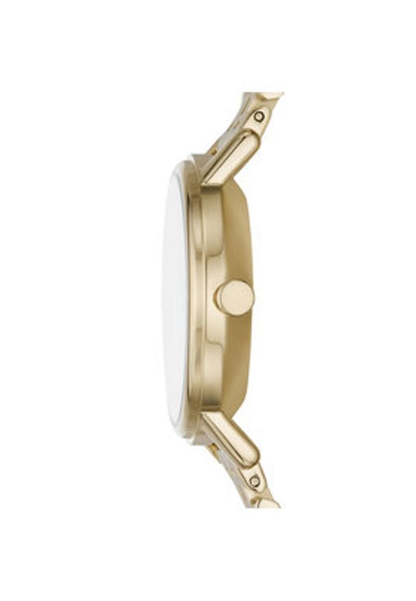 Skagen Zegarek Kuppel Lille SKW3102 Złoty. Kolor: złoty