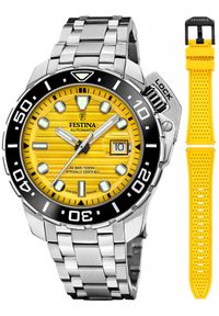 Zegarek męski Festina F20043-1 srebrny. Kolor: srebrny #1