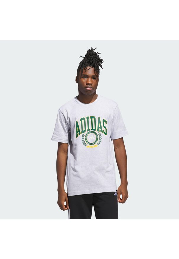 Adidas - Koszulka z grafiką Varsity Crest. Kolor: szary
