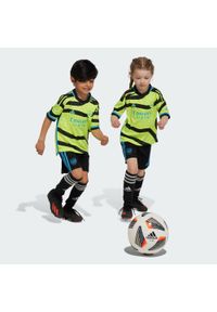 Adidas - Zestaw Arsenal 23/24 Away Mini Kit. Kolor: czarny, żółty, wielokolorowy. Materiał: materiał #1