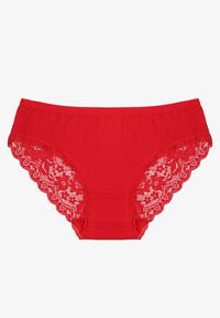 Renee - Czerwone Majtki Figi z Koronkowymi Wstawkami Amiora. Kolor: czerwony. Materiał: koronka. Wzór: koronka #1