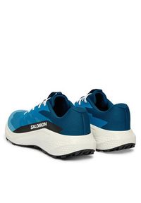 salomon - Salomon Buty do biegania Alphaglide L48000400 Niebieski. Kolor: niebieski. Materiał: materiał #3