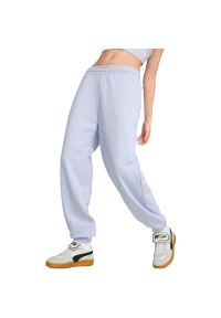 Spodnie Puma Wardrobe Ess Relaxed Sweatpants Tr Cl Co, Dla obu płci. Kolor: niebieski. Materiał: bawełna, dresówka, materiał. Wzór: haft. Sport: fitness