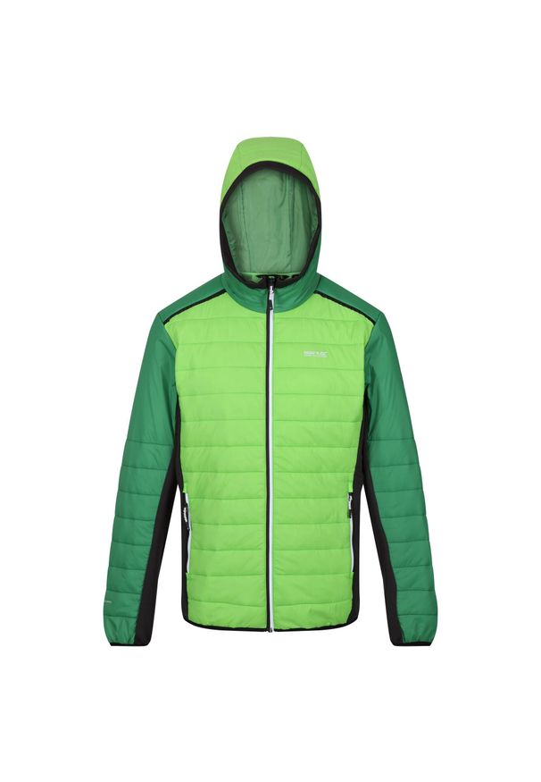 Regatta - Męska Kurtka Trutton II Baffled Padded Jacket. Kolor: zielony