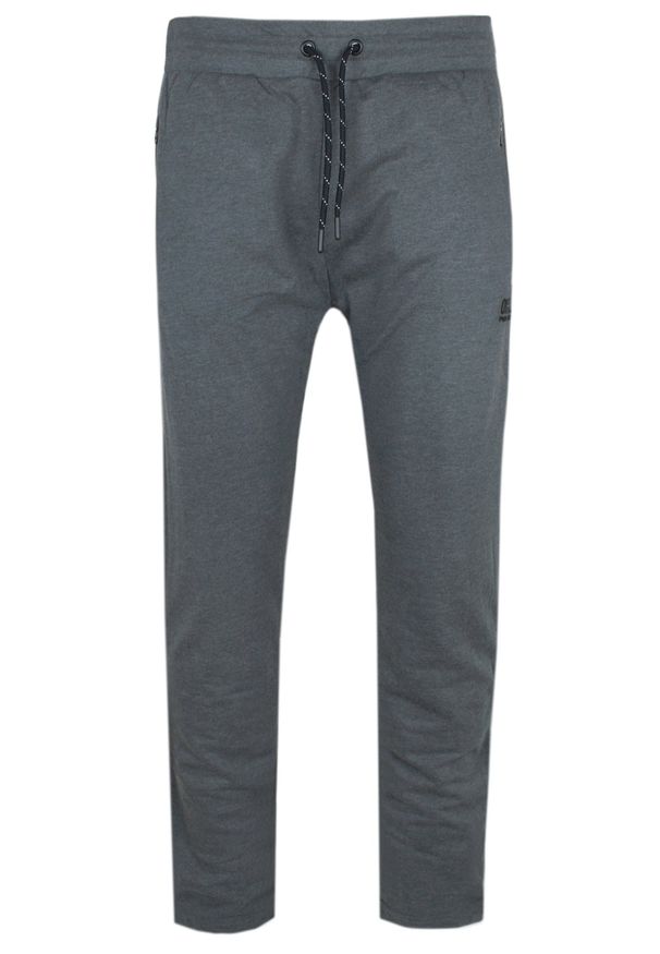 Spodnie Dresowe, Męskie - Pako Jeans - Grafitowe. Kolor: szary. Materiał: bawełna