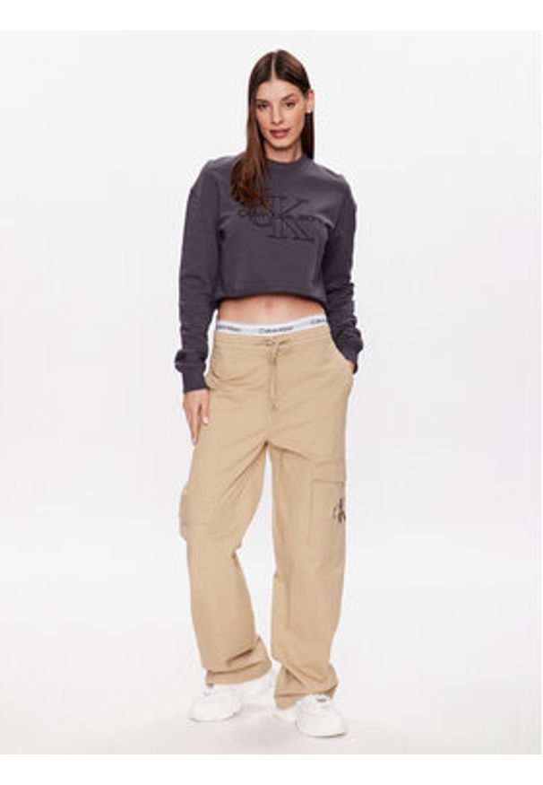 Calvin Klein Jeans Bluza J20J220696 Szary Relaxed Fit. Kolor: szary. Materiał: bawełna