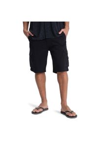 Quiksilver - dla Mężczyzn CRUCIAL BATTLE CARGO Czarny. Kolor: czarny. Materiał: bawełna, tkanina. Długość: krótkie. Sezon: lato #1