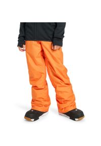 Quiksilver - Spodnie do sportów zimowych techniczne dla Chłopców ESTATE. Kolor: pomarańczowy. Sezon: zima. Sport: narciarstwo #1