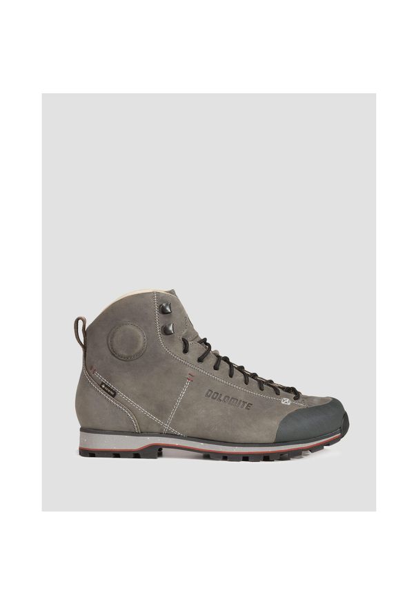 Buty trekkingowe męskie Dolomite Cinquantaquattro High FG Evo GTX. Kolor: fioletowy, szary, wielokolorowy. Sport: turystyka piesza
