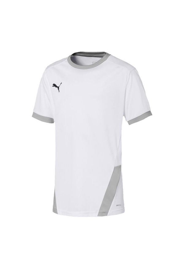 Puma - Koszulka Dziecięca TeamGoal 23. Kolor: biały