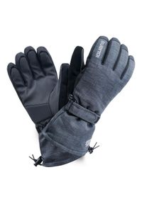 Rękawice narciarskie męskie Iguana Axel, Rozmiar L/XL. Materiał: poliester, polar, materiał. Sport: narciarstwo #1