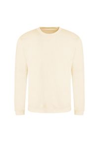 AWDIS - Zwykła Bluza Unisex Dla Dorosłych. Kolor: szary