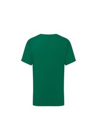 FRUIT OF THE LOOM - Koszulka Dziecięca Gładka. Kolor: zielony. Wzór: gładki. Sport: turystyka piesza