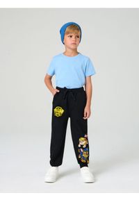 Sinsay - Spodnie dresowe PAW Patrol - czarny. Kolor: czarny. Materiał: dresówka