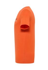 Męski T-Shirt Mustang Style Austin Koi 1016494 7166 #7