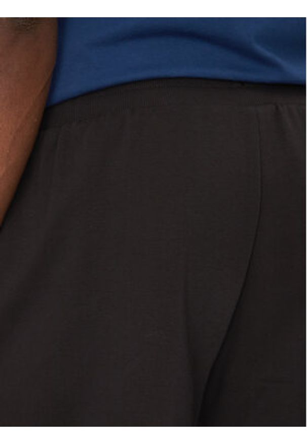The North Face Szorty sportowe Nse Box NF0A8C1J Czarny Regular Fit. Kolor: czarny. Materiał: bawełna, syntetyk. Styl: sportowy