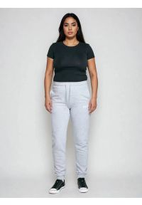 Big-Star - Spodnie damskie dresowe szare Kathy 901. Kolor: szary. Materiał: dresówka. Wzór: nadruk #9