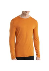 Koszulka Icebreaker Merino 260 Tech Long Sleeve Crewe Thermal Top 1043718651 - pomarańczowa. Kolor: pomarańczowy. Materiał: wełna, materiał. Długość rękawa: długi rękaw. Długość: długie #1