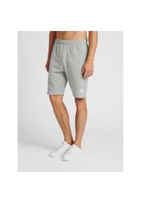 Krótki Hummel sweat. Kolor: szary. Długość: krótkie. Sport: fitness #1