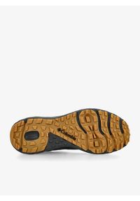 columbia - Buty outdoor męskie Columbia Terrastride CRZ. Kolor: czarny. Sport: outdoor