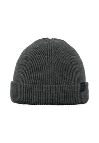 Czapka Barts Kinyeti. Kolor: szary. Sezon: zima. Styl: sportowy #1
