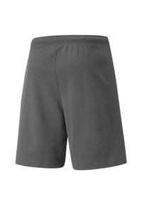 Spodenki piłkarskie męskie Puma teamRISE Short. Kolor: szary, biały, wielokolorowy. Sport: piłka nożna