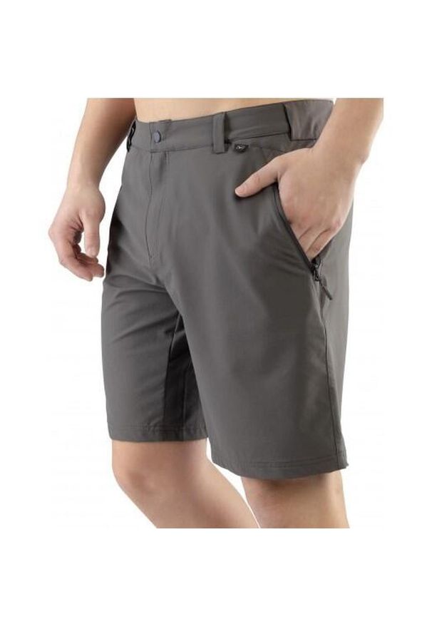 Szorty trekkingowe męskie Viking Expander. Kolor: szary. Sport: turystyka piesza
