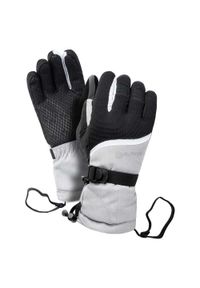 Iguana - Damskie Rękawice Narciarskie Kano. Kolor: czarny, szary, wielokolorowy. Sezon: zima. Sport: narciarstwo #1