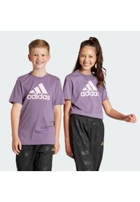 Adidas - Essentials Big Logo Cotton Tee. Kolor: fioletowy, różowy, wielokolorowy #1