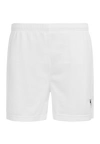 Puma Vencida Men Sport Shorts 2xl - Oddychający i lekki > to translate in Polish. Kolor: biały. Materiał: poliester. Sport: piłka nożna