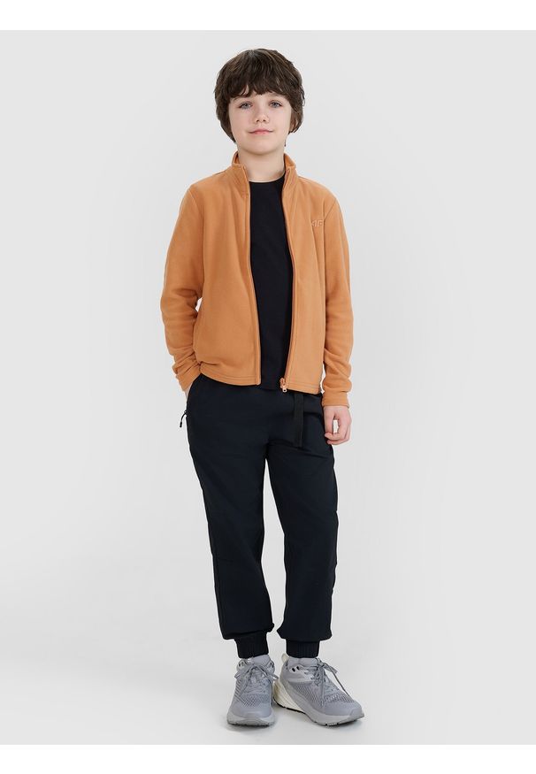 4f - 4F Polar regular ze stójką chłopięcy - brązowy 158 (12-13 lat). Typ kołnierza: kołnierzyk stójkowy. Kolor: brązowy. Materiał: polar. Wzór: gładki. Sezon: lato. Sport: narciarstwo, turystyka piesza, snowboard, wspinaczka