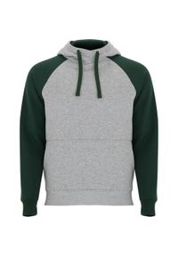ROLY - Dwukolorowa Bluza Z Kapturem Badet Dla Dorosłych Unisex. Typ kołnierza: kaptur. Kolor: niebieski, wielokolorowy, zielony #1