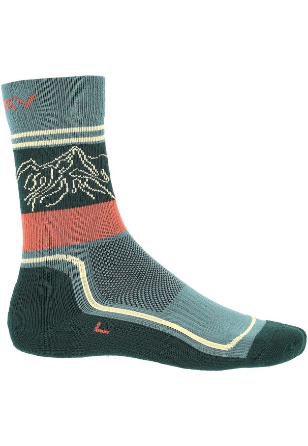 Skarpety trekkingowe damskie Viking Boosocks Heavy Bamboo Lady. Kolor: wielokolorowy, szary, zielony