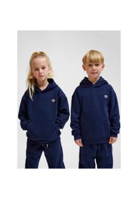 Bluza z kapturem dla dzieci Hummel Bee Loose. Typ kołnierza: kaptur. Kolor: wielokolorowy, niebieski, zielony #1