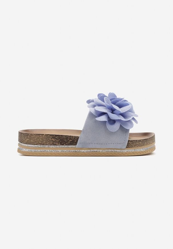 Renee - Niebieskie Klapki z Kwiatową Aplikacją 3D Isori. Okazja: na co dzień. Kolor: niebieski. Materiał: jeans. Wzór: aplikacja, kwiaty. Sezon: wiosna. Obcas: na płaskiej podeszwie. Styl: casual