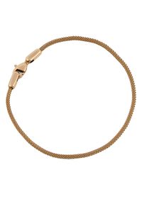 Bransoletka Daniel Wellington. Materiał: złote. Kolor: różowy, złoty, wielokolorowy #1