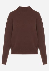 Born2be - Brązowy Sweter z Wełną i Wiskozą o Prostym Fasonie z Półgolfem Giolera. Okazja: na spotkanie biznesowe, do pracy, na co dzień. Kolor: brązowy. Materiał: wiskoza, wełna. Długość rękawa: długi rękaw. Długość: długie. Styl: elegancki, biznesowy, casual #5