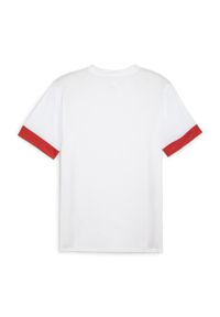 Koszulka Puma TeamGoal. Kolor: czerwony, wielokolorowy, biały. Sport: piłka nożna #2