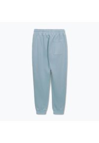 PITBULL - Spodnie męskie Pitbull Lancaster 2 Track Pants. Kolor: niebieski