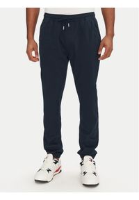 Tommy Jeans Joggery Austin DM0DM20283 Granatowy Slim Fit. Kolor: niebieski. Materiał: bawełna